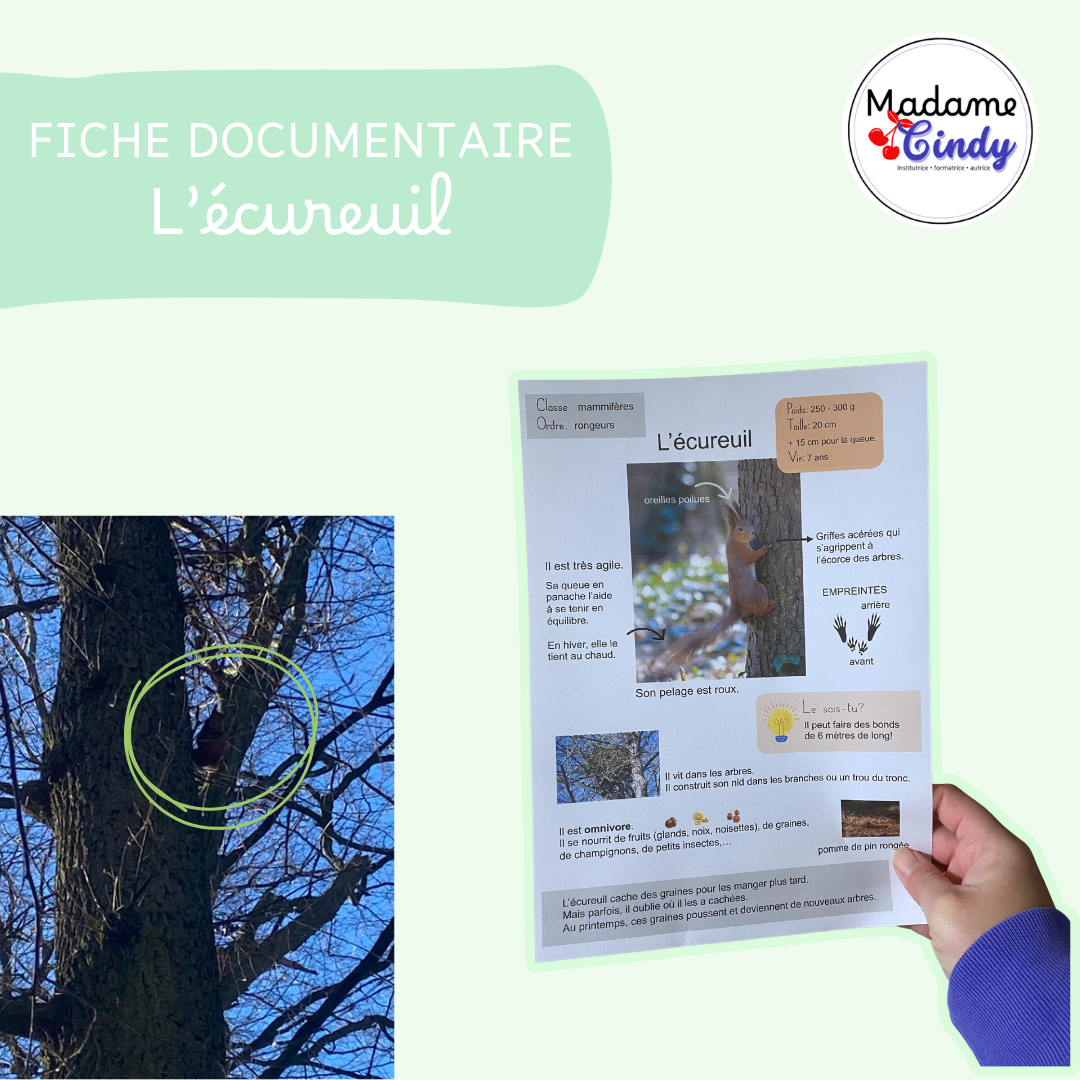 FICHE DOC - écureuil