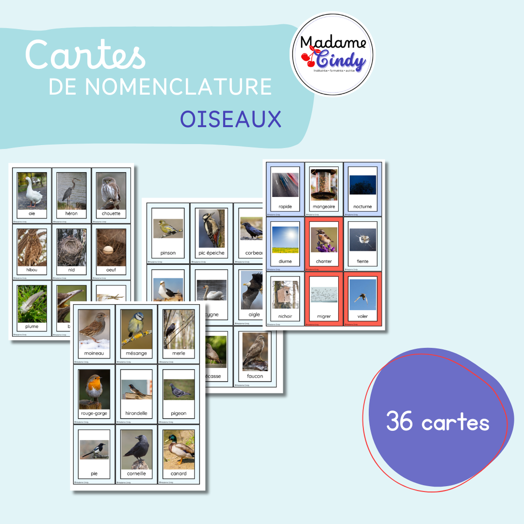 Cartes de nomenclature - Les oiseaux