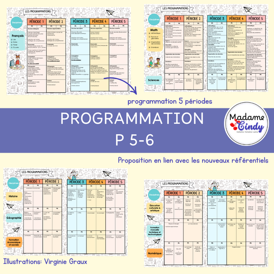 Programmation cycle 4