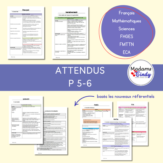 Attendus P5-6