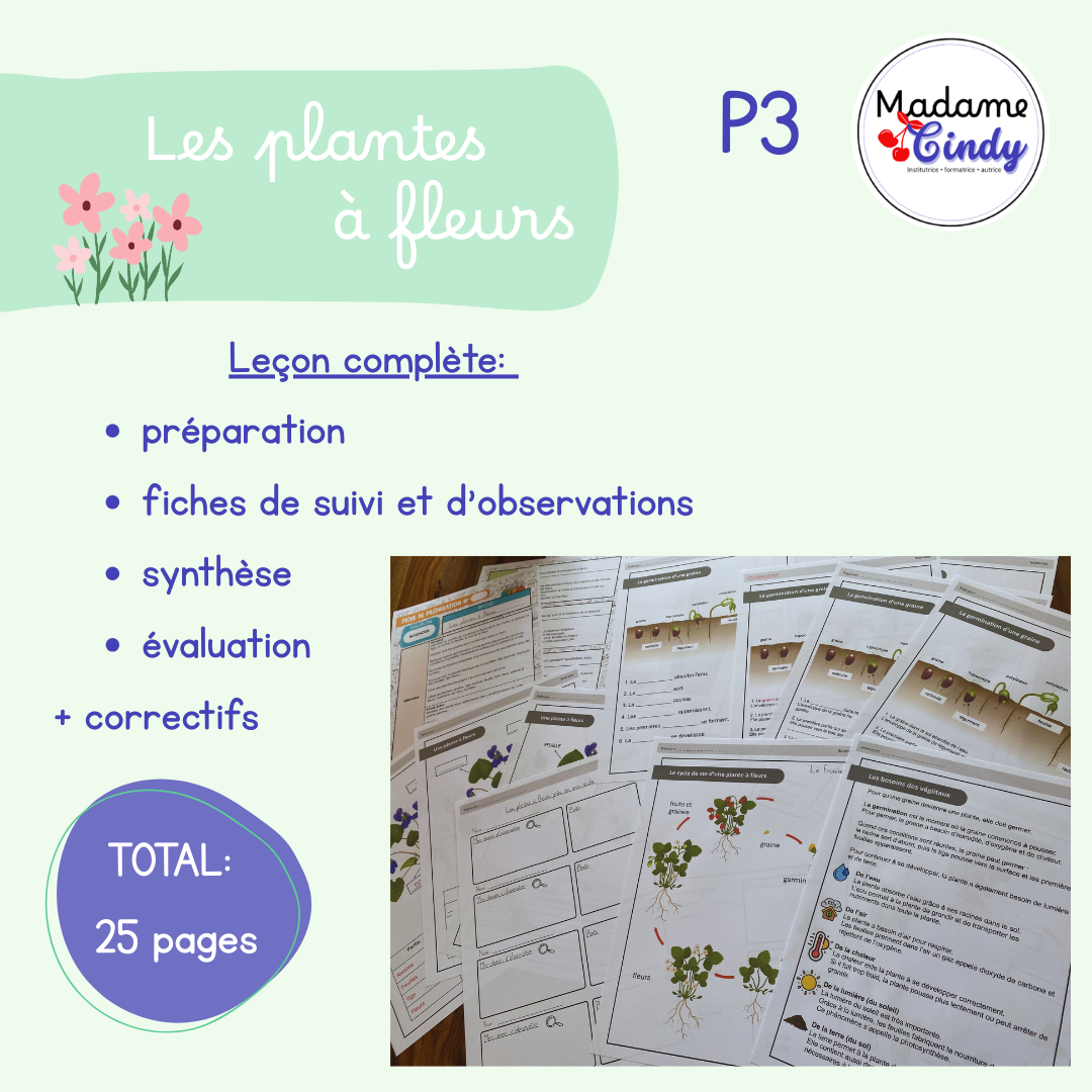 Les plantes à fleurs - Leçon complète