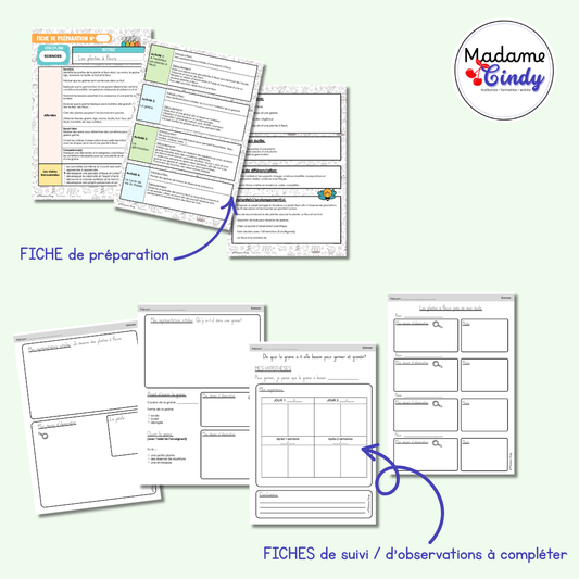 Les plantes à fleurs - Leçon complète