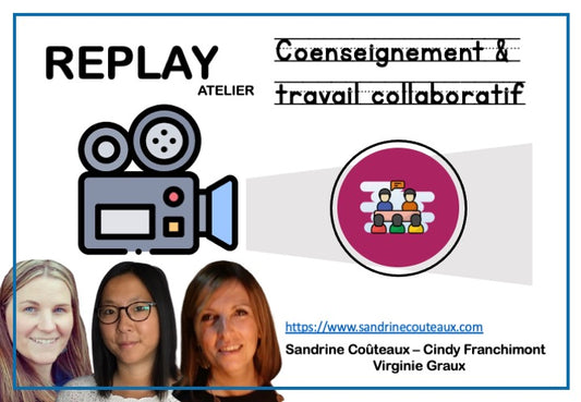 REPLAY - Coenseignement et travail collaboratif