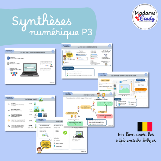 Synthèses volet numérique P3