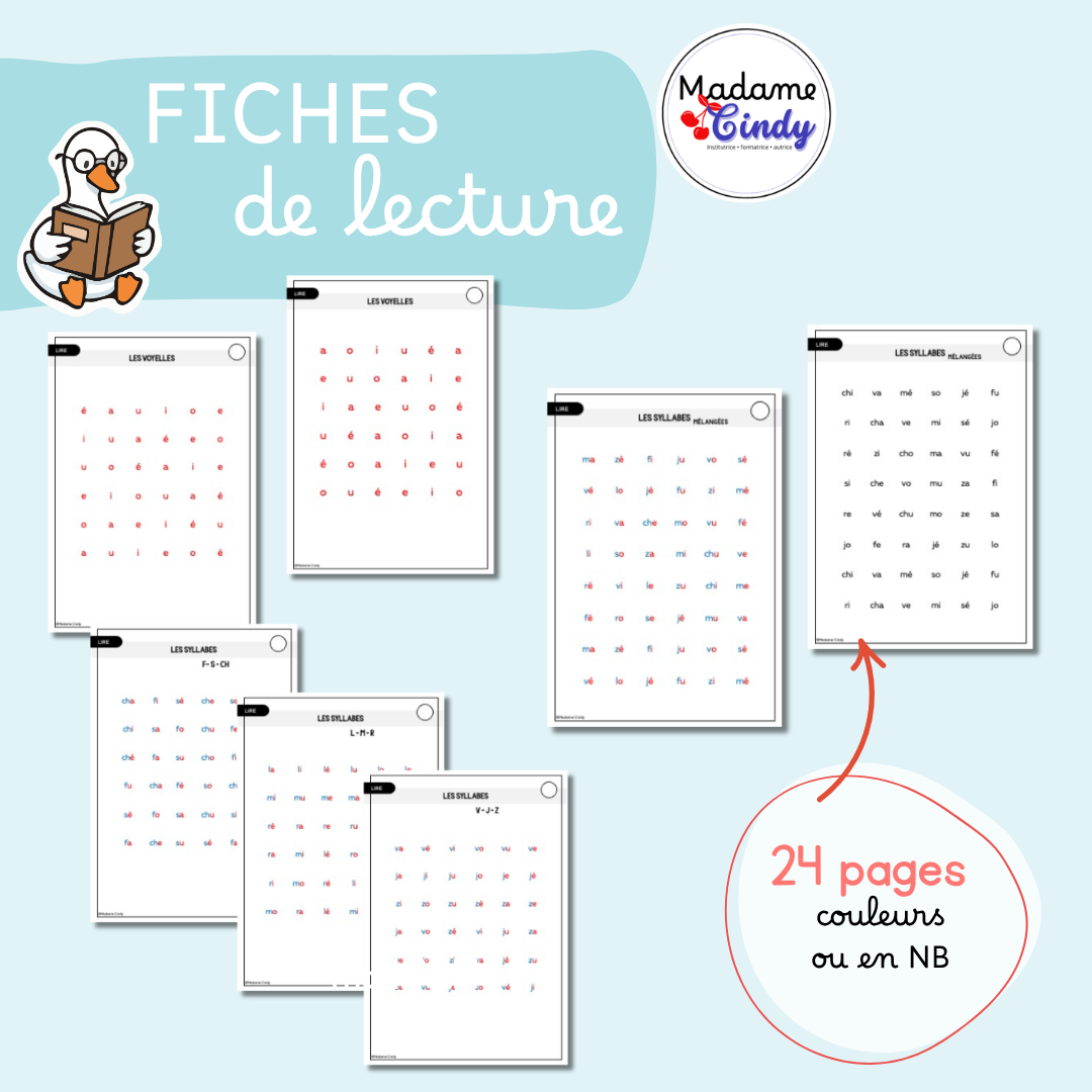 Fiches de lecture voyelles + syllabes