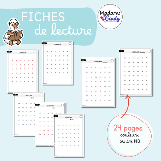 Fiches de lecture voyelles + syllabes