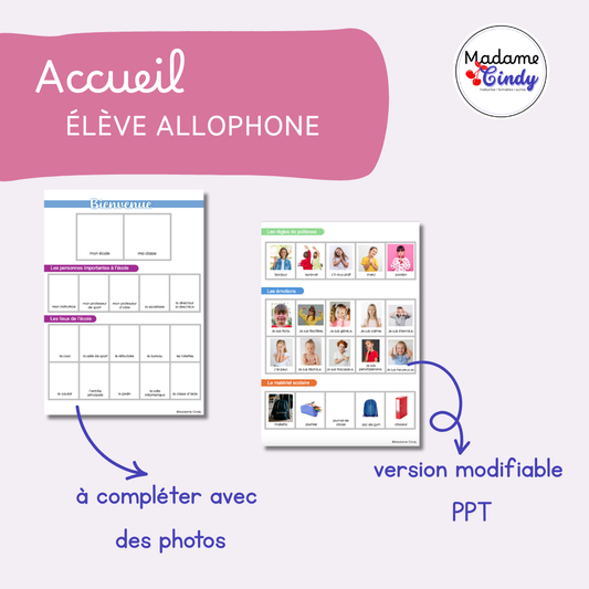 Accueil élève allophone