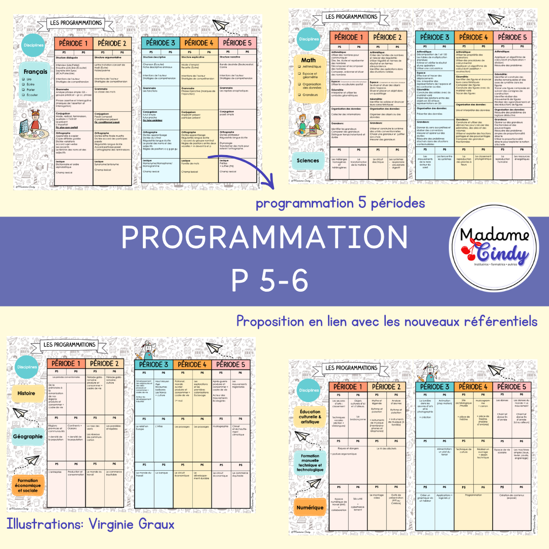 Programmation cycle 4
